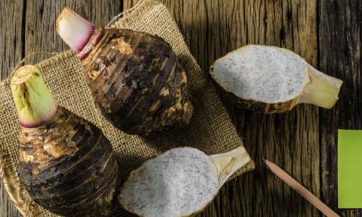 Củ khoai môn có bao nhiêu lợi ích thì 3 kiểu người này cũng không nên liên quan đến 'nó', đừng 'kiếm chuyện rắc rối'