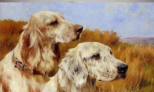 Những con giáp có sự nghiệp hanh thông trong 5 năm tới, cần dùng gì để thay đổi vận may?