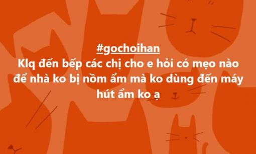 Trời nồm ẩm khiến nhà như 'đổ nước', cô gái hỏi được loạt cách hay khi nhờ sự trợ giúp từ dân mạng