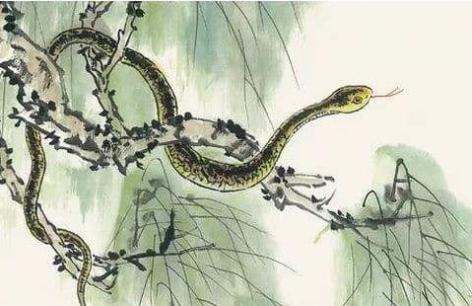 Từ 20/2 đến 15/3, vận may ập đến, của cải ngày càng nhiều, nghèo khó sẽ không trở lại với 3 con giáp này