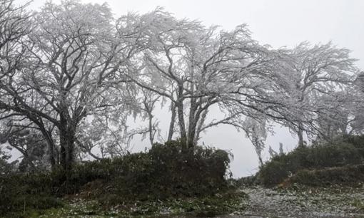 Miền bắc rét đỉnh điểm: Băng tuyết phủ trắng đỉnh Phia Oắc