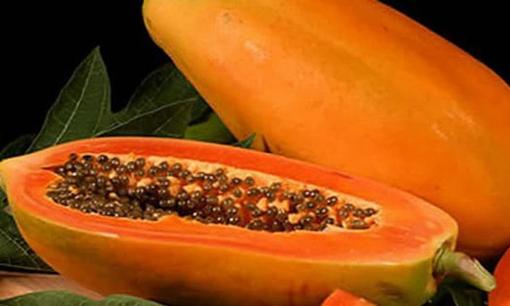 Đu đủ được mệnh danh là “quả trăm điều lợi”, có 6 lợi ích và 4 điều kiêng kỵ khi ăn đu đủ