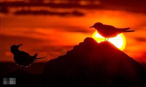 Một ngày nào đó con người ta luôn già đi, hãy ghi lại chín điểm này, đừng sợ khi về già không ai quan tâm