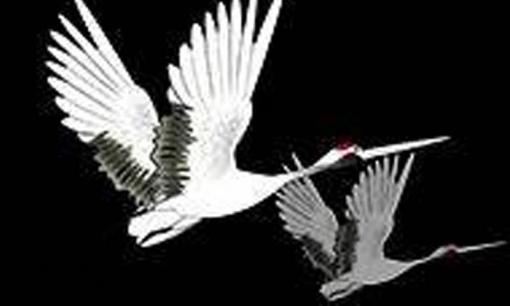 4 dấu hiệu của một sự kiện hạnh phúc! Tài vận hanh thông, sự nghiệp cất cánh, dễ dàng gây tiếng vang lớn! 