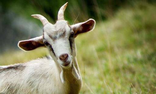 Hung hiểm vây quanh, vận trình xuống dốc, 3 con giáp xui xẻo tuần mới (7 - 13/3) làm gì cũng phải cẩn trọng