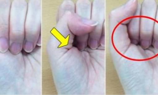 Bài kiểm tra tâm lý Kobushi Shindan Nhật Bản, nhìn vào nắm tay để khám phá tính cách tiềm ẩn bên trong của bạn! 