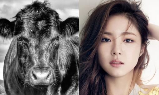 3 con giáp nữ lận đận, vất vả nhất trong 12 con giáp, phải trải qua vô số thử thách mới chạm tay đến thành công