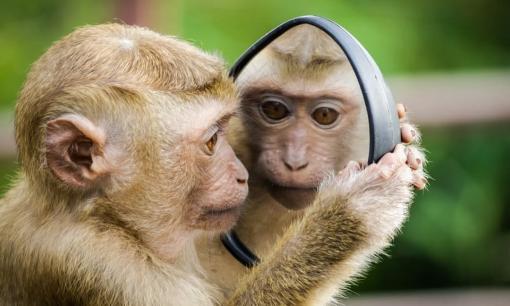 Cuối tháng 3, đầu tháng 4: 3 con giáp có quý nhân phù trợ, cơ hội thăng tiến cao, thành công nằm trong tầm tay