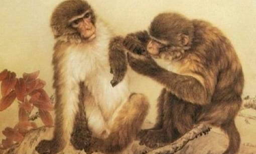 Top 3 con giáp có đường tình duyên, hôn nhân may mắn nhất 2022, gia đình êm ấm, hạnh phúc viên mãn