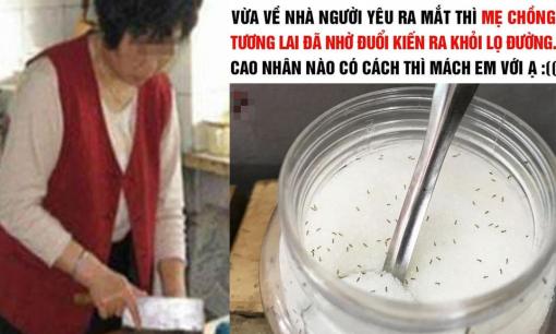 Về nhà ra mắt, mẹ chồng tương lai đã thử thách bằng cách nhờ 'đuổi kiến ra khỏi hũ đường', cô gái lên mạng cầu cứu 