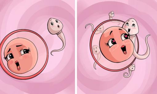 Ăn hành tây mỗi ngày có thể hỗ trợ chữa vô sinh nam, tăng khả năng sinh sản và nhiều lợi ích tuyệt vời ít người biết 