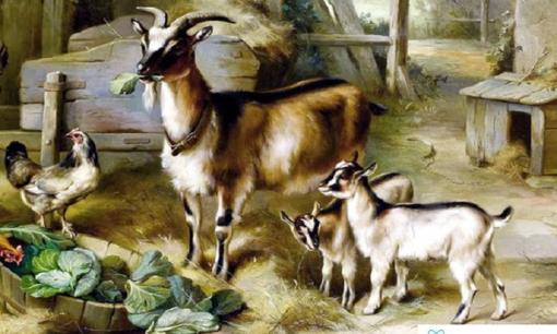 Người sinh vào 3 năm này, từ Rằm tháng 2 trở đi tình tiền khởi sắc, làm việc gì cũng thuận lợi vô cùng