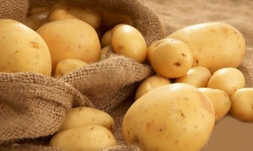 Kẻ thù của các vấn đề về dạ dày đã được tìm ra! Ăn ít mỗi ngày, xua đuổi vi khuẩn Helicobacter pylori, bụng khỏe hơn mỗi ngày