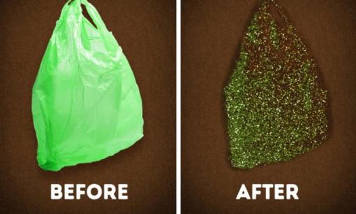 Trái đất đã được cứu!? Các chuyên gia phát hiện ra 'sâu ăn nhựa', có thể phân hủy túi ni lông!?