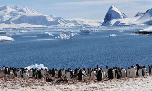 Nhiệt độ ở hai cực Bắc và Nam tăng cao bất thường, cao hơn 40 độ C so với cùng kỳ các năm trước, ảnh hưởng như thế nào đến chúng ta?