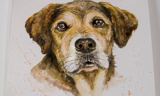 Top 3 con giáp có lòng vị tha, trái tim nhân hậu, rất tốt tính, cả đời luôn lo nghĩ cho người khác nên được quý nhân phù trợ, hậu vận viên mãn