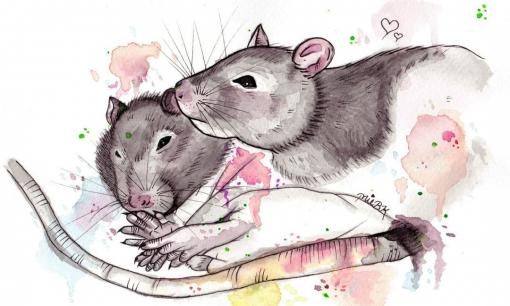 Con giáp này cực nhạy bén trong kinh doanh, lanh lợi hơn người, giàu có sung túc nhờ biết nắm bắt cơ hội, hậu vận viên mãn