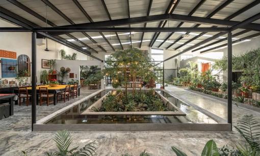 Cải tạo nhà kho bỏ hoang thành nhà ở, không gian xanh bên trong khiến nhiều người mê mẩn