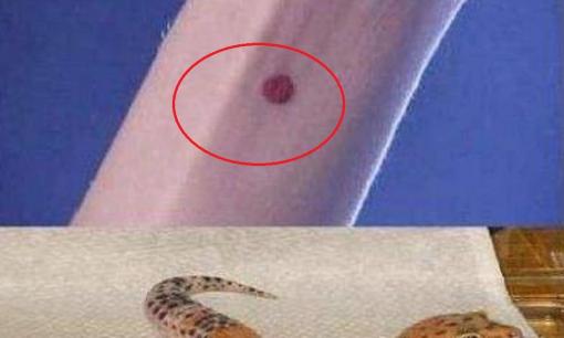 Làm thế nào để kiểm tra xem một cô gái có còn là trinh nữ trong thời cổ đại? Cách làm thật ra rất đơn giản