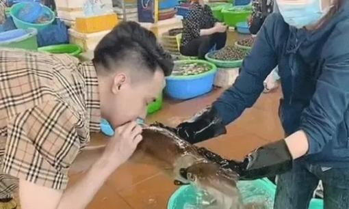 Thanh niên gặm con mực đang quẫy tanh tách chỉ để kiểm tra xem 'còn sống không'