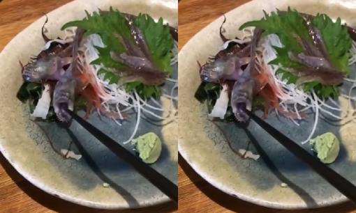 Món sashimi không thể tươi hơn khiến thực khách rùng mình