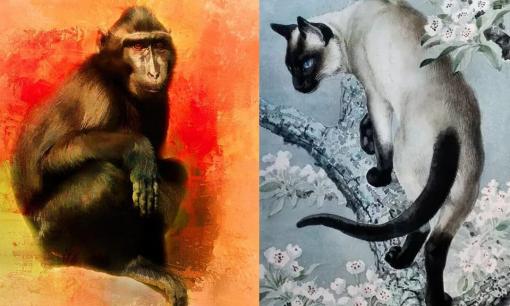 Tử vi 12 con giáp thứ 7 ngày 16/4/2022: Tuổi Mão có nhiều cơ hội thăng tiến, Thân đối mặt với không ít rắc rối