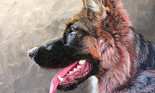 Top 3 con giáp có khả năng quan sát tinh tế, giỏi nắm bắt tâm lý và thấu hiểu sâu sắc, được lòng thiên hạ, hạnh phúc và giàu có