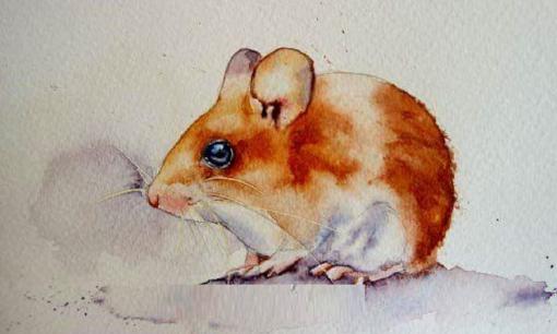 Tử vi 99 ngày tới, top 3 con giáp thuận buồm xuôi gió, giàu sang phú quý, tài lộc bội thu, tình tiền viên mãn