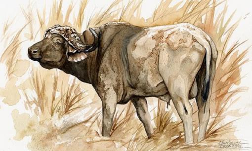 Trong 3 tuần tới, top 3 con giáp bất ngờ chuyển vận, tài lộc vượng phát, thuận lợi đủ đường, tình tiền viên mãn