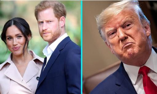 Cựu Tổng thống Donald Trump: 'Chưa từng thấy ai bị vợ dắt mũi như Harry'