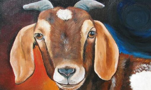 Top 3 con giáp quá ưu tú, tài năng xuất chúng nên thường bị ghen ghét, đố kỵ, dính nhiều thị phi