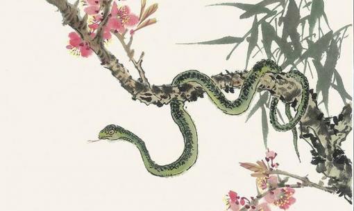 Tuổi Rắn sinh vào tháng nào thì tài vận hanh thông, làm ăn buôn bán phát đạt, giàu có