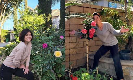Khám phá không gian vườn nhà ca sĩ Hồ Lệ Thu tại Mỹ 