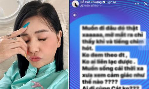 Cát Phượng đăng dòng trạng thái giữa đêm: 'Muốn đi đâu đó thật xa'... sau khi bị tung tin qua đời