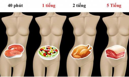 Các loại thực phẩm khác nhau mất bao lâu để tiêu hóa và tại sao đây lại là điều quan trọng mà ai cũng cần biết?