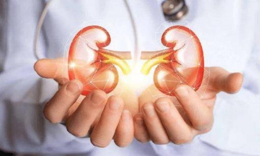 Trong một ngày, nếu số lần đi tiểu của một người đàn ông gần bằng “con số này” thì có lẽ chứng “nhiễm độc niệu” còn xa bạn