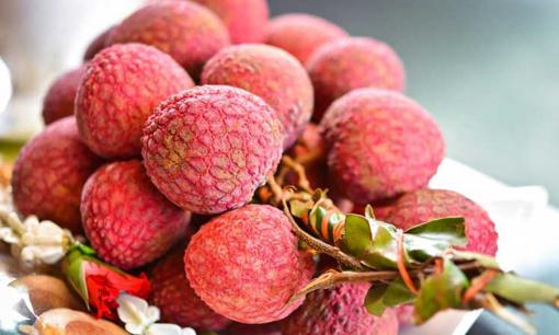 Vải thiều đang vào mùa, mách bạn cách chọn quả vải tươi ngon, dày cùi, không bị sâu đầu