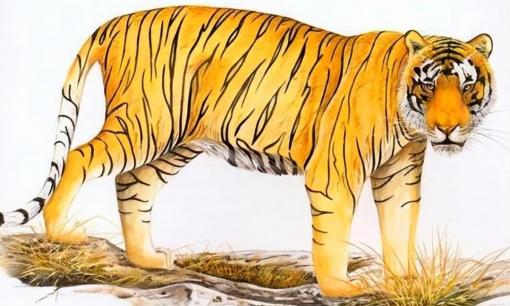 Từ ngày 25/5 đến 31/5, tài lộc hanh thông, Thần Tài mang đến của cải, tiền tiêu không hết