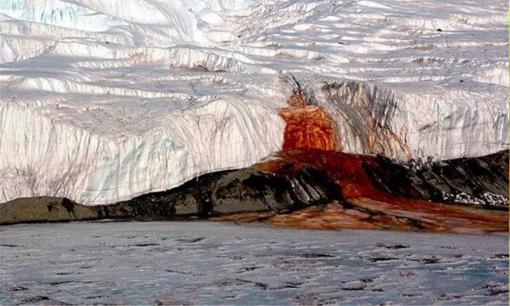 'Tuyết máu' lại xuất hiện ở Nam Cực, thềm băng khổng lồ sụp đổ, các nhà khoa học: Không phải điềm lành!