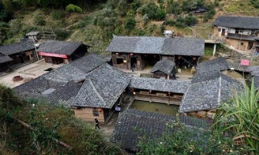 Bao quanh bởi rừng cây, ao nước thế nhưng cả thế kỷ ngôi làng này không xuất hiện con muỗi nào: Khoa học chưa tìm ra lời giải!