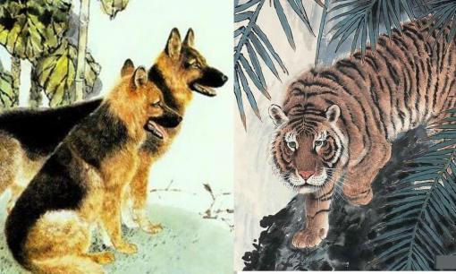 TOP 5 con giáp thịnh vượng nhất tháng 6