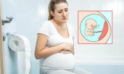 Trong thời kỳ mang thai, mẹ bầu nên nhớ 'ba không' khi đi vệ sinh, nếu không có thể khiến thai nhi bị thiếu oxy