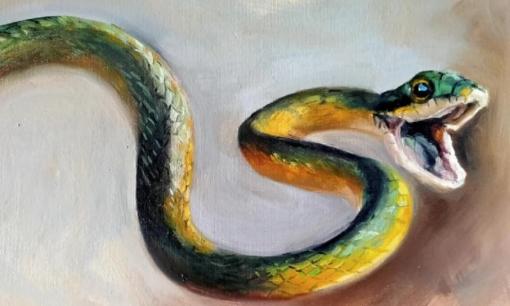 Top 3 con giáp thật thà lương thiện, được Thần Tài chiếu cố, quý nhân phù trợ, ban tài phát lộc