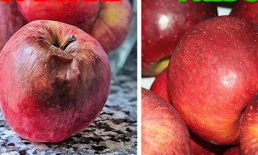 8 loại thực phẩm ngay khi mua về cần bảo quản trong tủ lạnh càng sớm càng tốt 