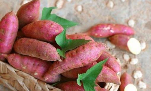 3 loại thực phẩm có tính kiềm là 'kẻ thù của ung thư', ăn một ít mỗi ngày, tế bào ung thư có thể không 'kết thân' với bạn