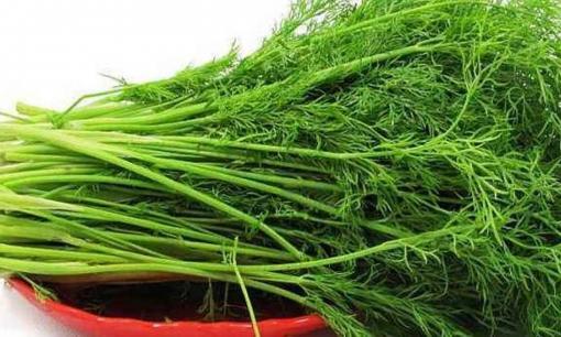 Những phụ nữ bị 'đau bụng kinh' trong thời kỳ kinh nguyệt có thể ăn một ít thì là! Có thêm 3 chức năng hữu ích