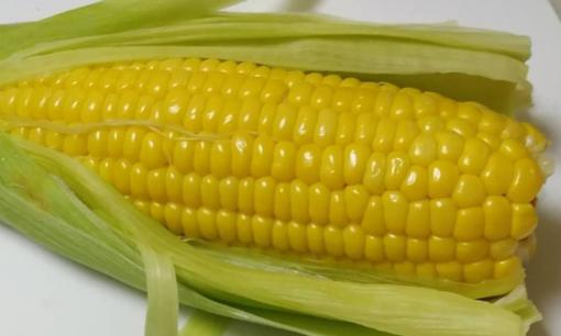 Mẹo nhỏ luộc ngô trong lò vi sóng, thành phẩm mềm ngọt ngon: Lời khuyên từ các bà nội trợ Nhật Bản
