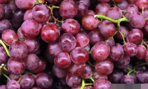 Bốn loại trái cây phù hợp nhất cho bà bầu ăn khi mang thai, không chỉ bổ dưỡng mà còn giúp giảm ốm nghén