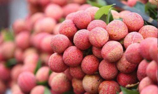 6 loại trái cây khiến bạn càng béo càng béo, nếu muốn giảm cân, tốt hơn hết bạn nên ngậm miệng!