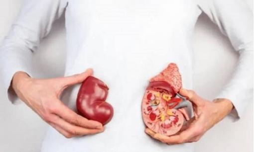 Lời cảnh báo từ bác sĩ: Nếu không muốn thận thủng lỗ chỗ, xin hãy ngừng sử dụng loại 'nồi cơm điện' này